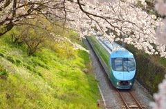 春列車