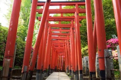 鳥居の道