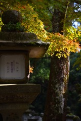 差し込む光