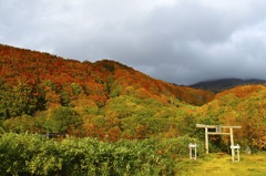 八甲田山