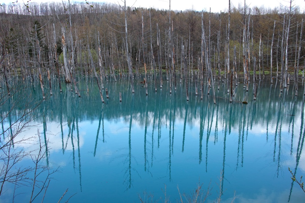青い池