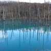 青い池