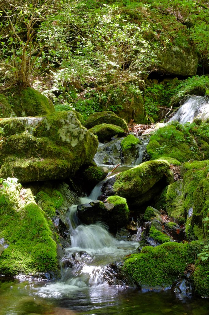 緑の滝