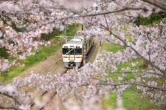 花のトンネル