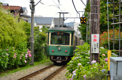 あじさい列車