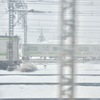 雪の往来