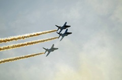 _DSC5445