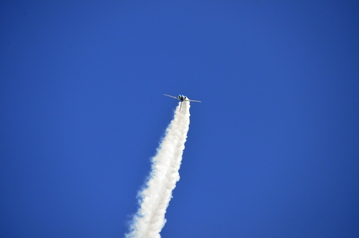 _DSC6508.1
