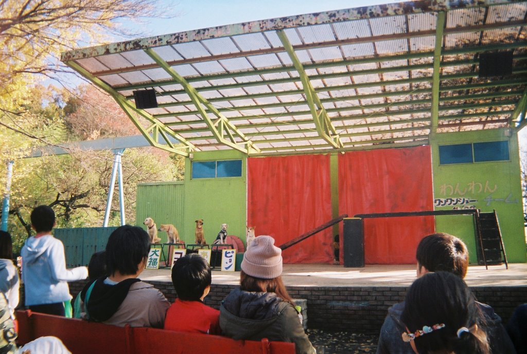 Kodakスナップキッズ800 By chr Id 写真共有サイト Photohito Kodakスナップキッズ800 By chr Id 写真共有サイト Photohito