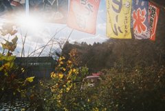 kodakスナップキッズ800