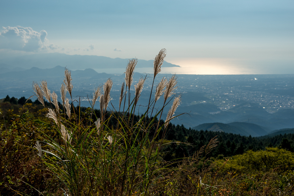 駿河湾を望む