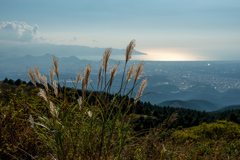 駿河湾を望む