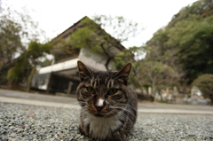 まんまる