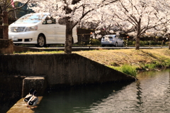 20120408_奈良池原ツーリング_0011