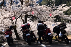 20120408_奈良池原ツーリング_0015_edit