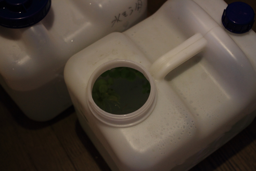 20120624_底モノ水槽拡張_0006
