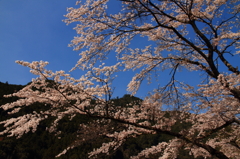 20120408_奈良池原ツーリング_0010