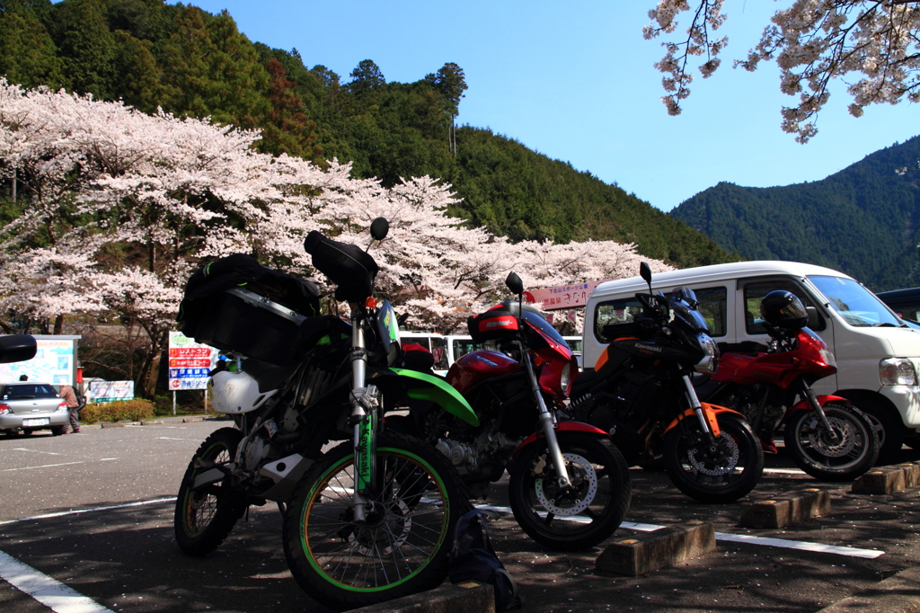 20120408_奈良池原ツーリング_0007