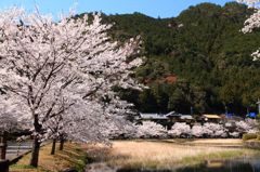 20120408_奈良池原ツーリング_0006