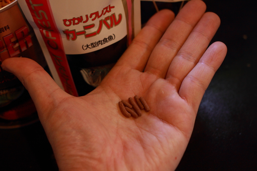 20120607_ミウルスの餌_0004