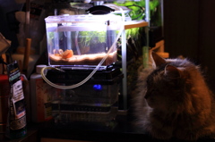 20120612_新入り水合わせなう
