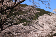 20120408_奈良池原ツーリング_0014