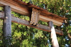 熊野本宮の鳥居