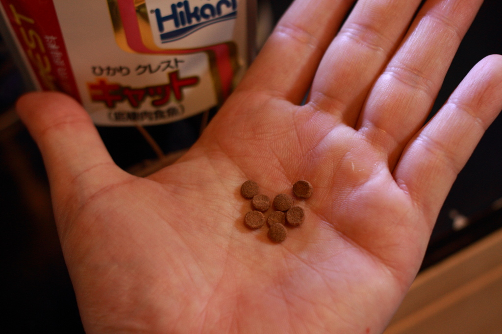 20120607_ミウルスの餌_0003