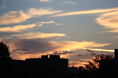 鴨川