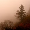 霧雨の山