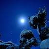 冬の夜空