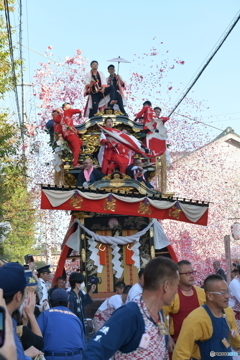 挙母祭り 