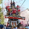 挙母祭り 