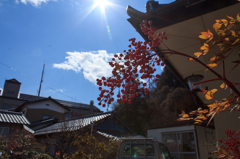 日差しの中で