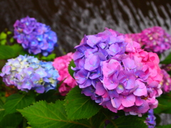 june