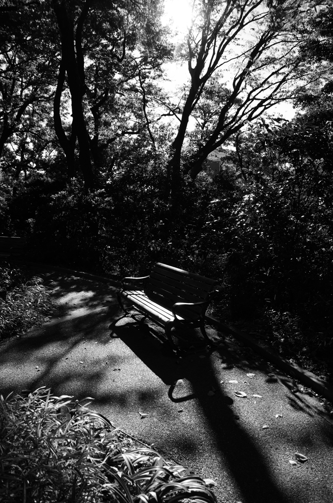 光園