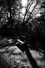 光園