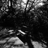 光園