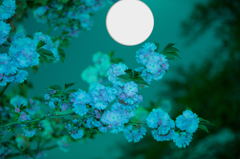 満月