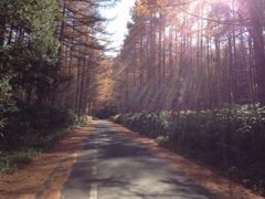 野麦峠