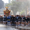 深川八幡祭り