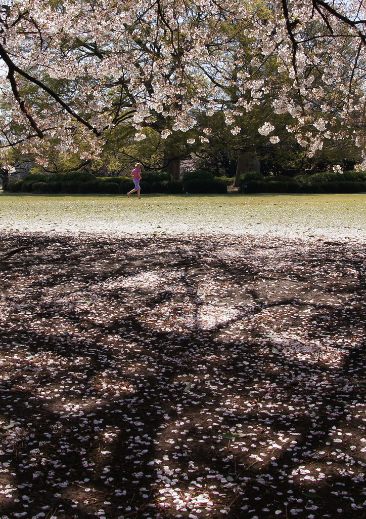 春の公園