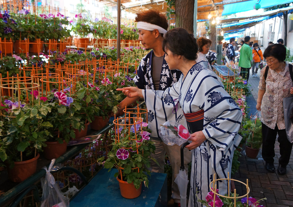 入谷朝顔市　１