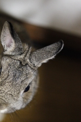 おまえは1人じゃない