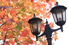2013-11-04-15-10-17