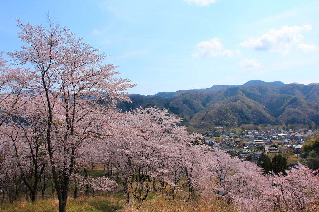 野士山より望む