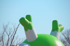 ネギ坊主？