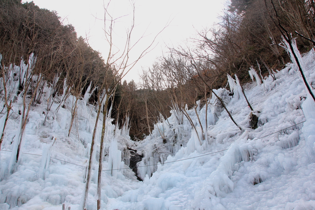 氷の世界