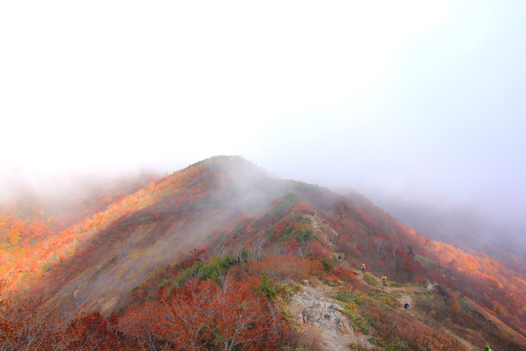 登山道