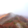 登山道